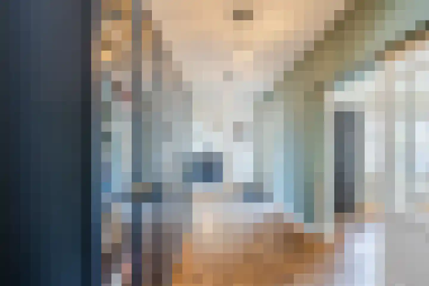 Grensweg 11 Vriezenveen thumbnail 10