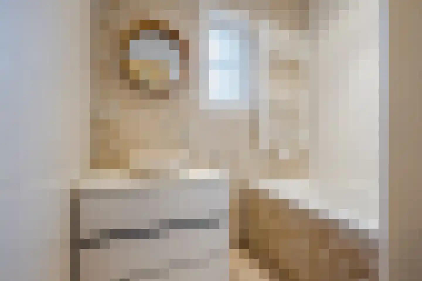 Grensweg 11 Vriezenveen thumbnail 14