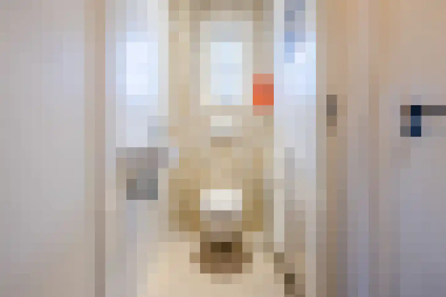 Grensweg 11 Vriezenveen thumbnail 15