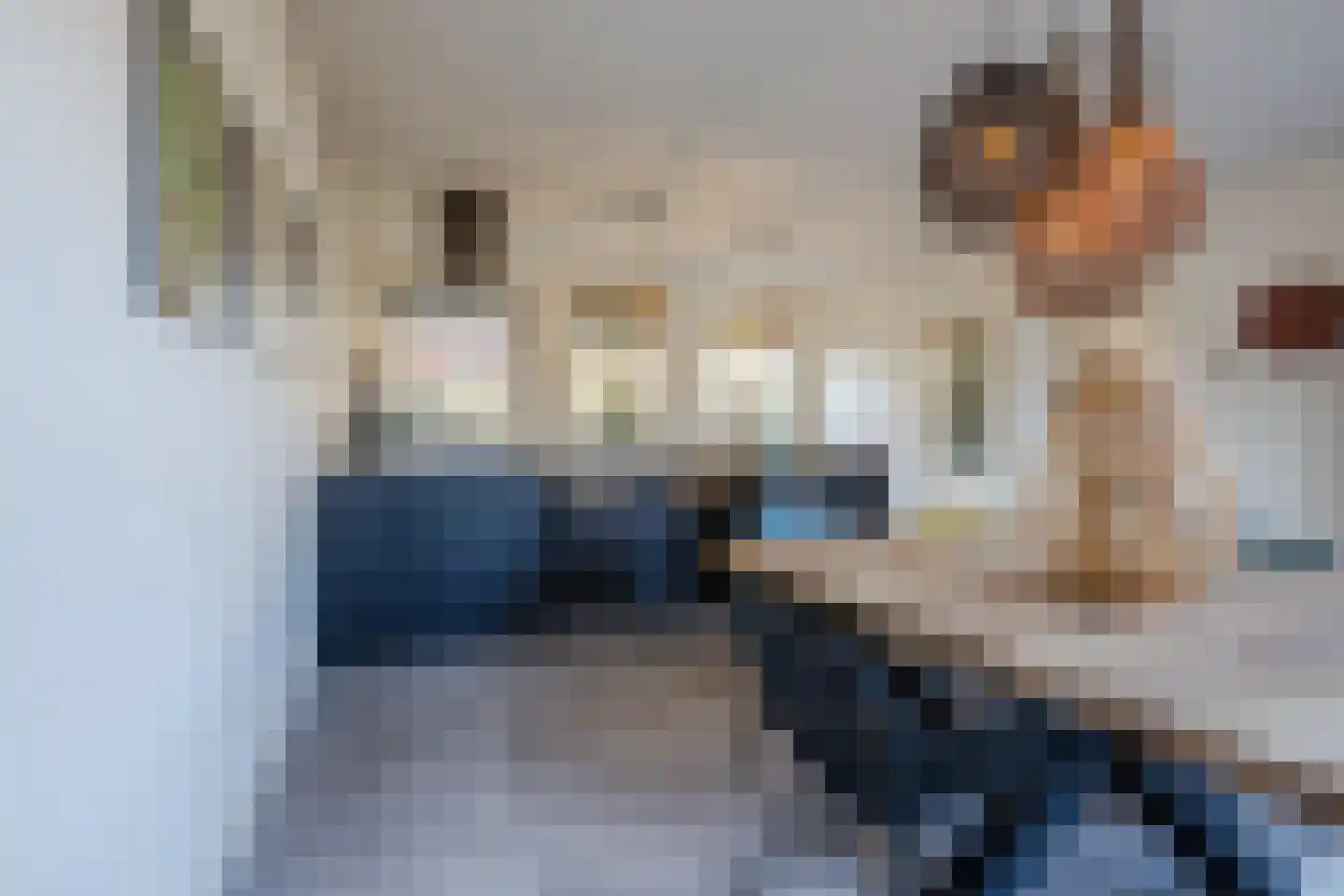 Grensweg 11 Vriezenveen thumbnail 22