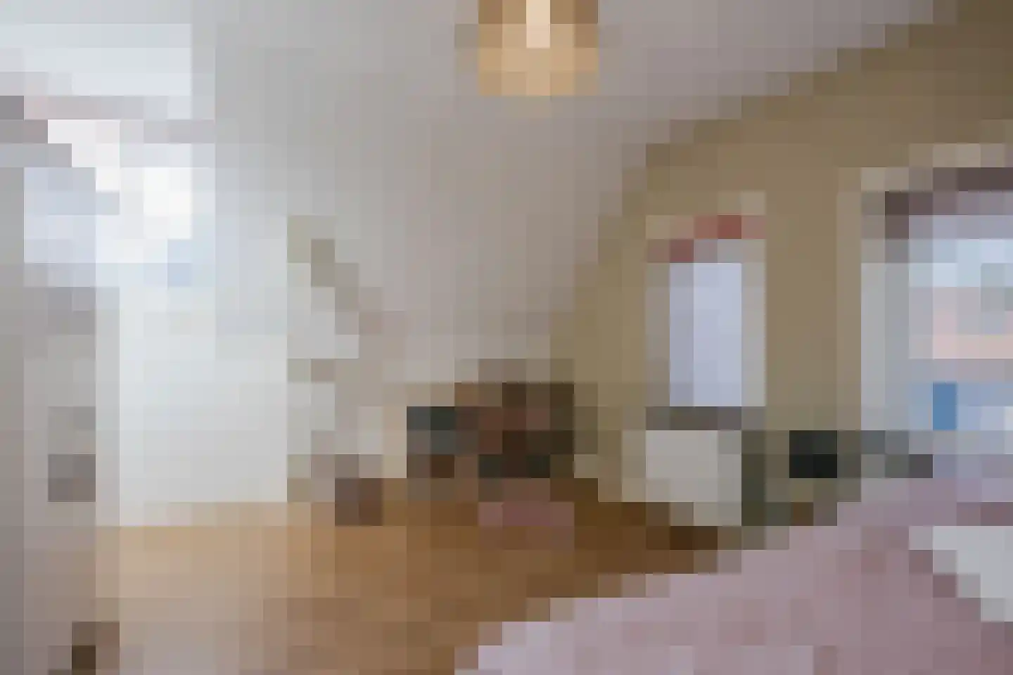 Grensweg 11 Vriezenveen thumbnail 28