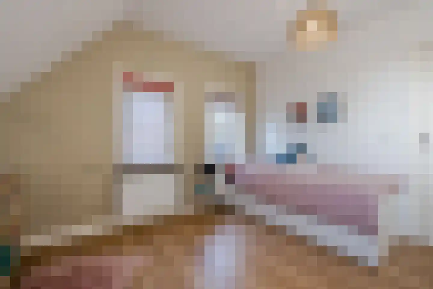 Grensweg 11 Vriezenveen thumbnail 29