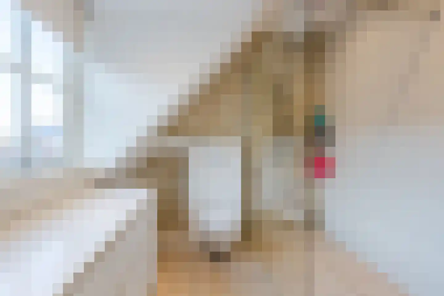 Grensweg 11 Vriezenveen thumbnail 31