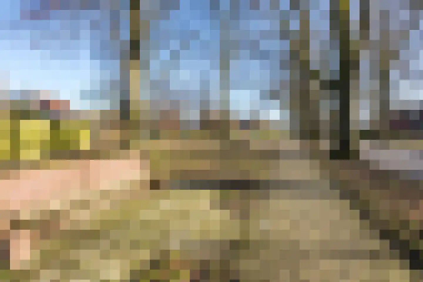 Grensweg 11 Vriezenveen thumbnail 47