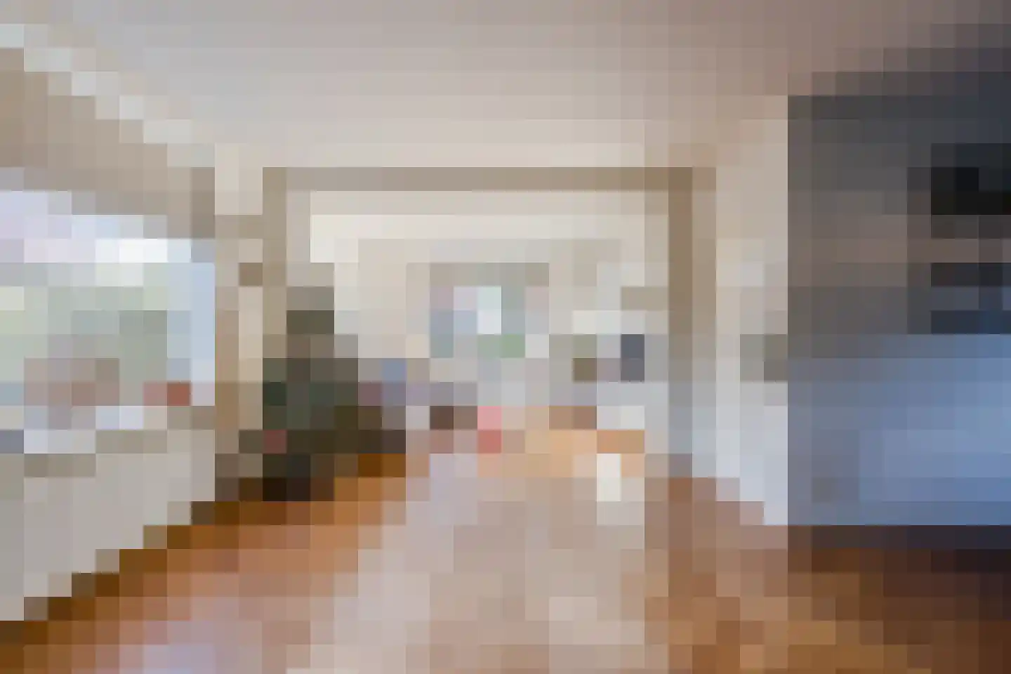 Grensweg 11 Vriezenveen thumbnail 7