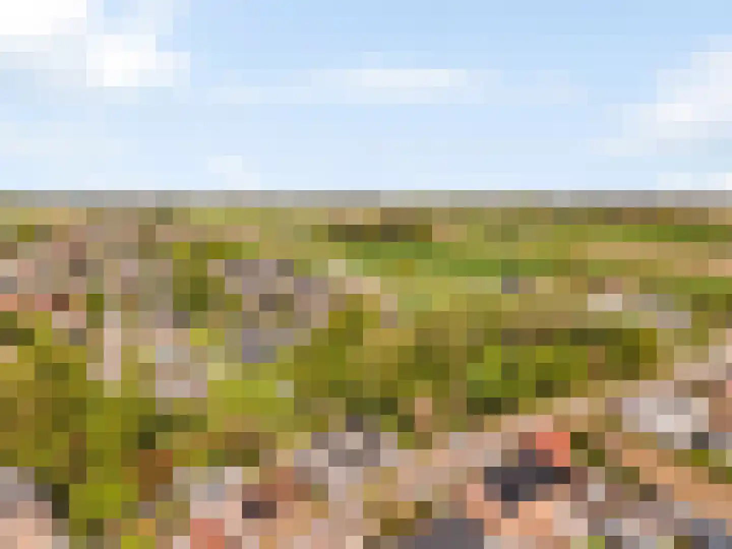 Grensweg 13 Stramproy thumbnail 25