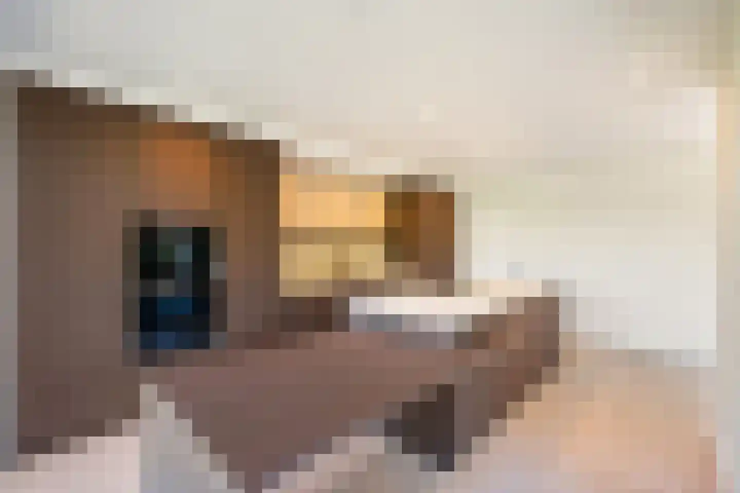 Grensweg 13 Stramproy thumbnail 8