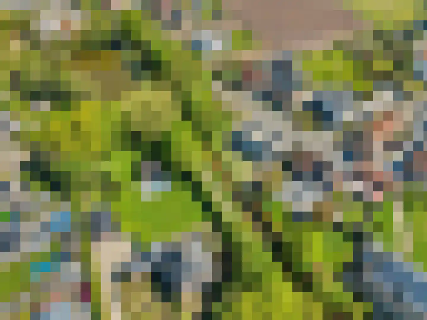 Grensweg 15 Stramproy thumbnail 6