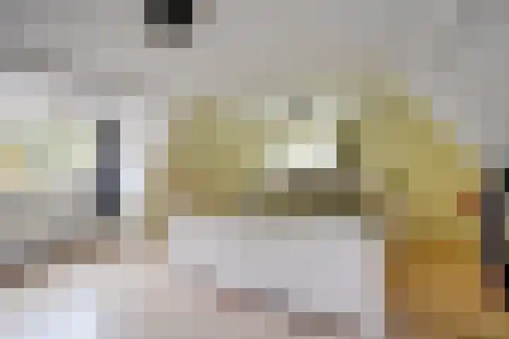 Grensweg 2 Driebergen-Rijsenburg thumbnail 22