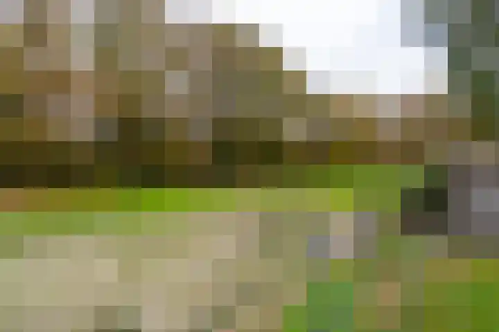 Grensweg 2 Driebergen-Rijsenburg thumbnail 31