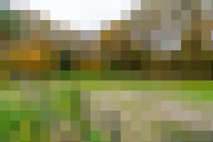 Grensweg 2 Driebergen-Rijsenburg thumbnail 32