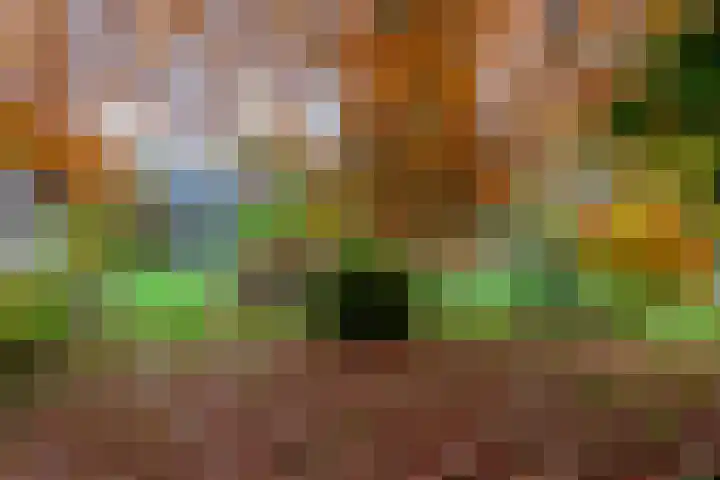 Grensweg 2 Driebergen-Rijsenburg thumbnail 33