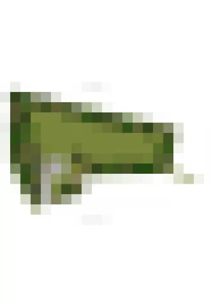 Grensweg 2 Driebergen-Rijsenburg thumbnail 38