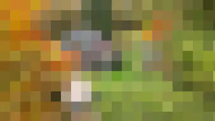 Grensweg 2 Driebergen-Rijsenburg thumbnail 5