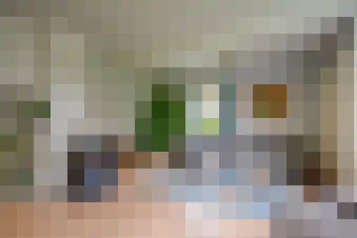 Grensweg 2 Driebergen-Rijsenburg thumbnail 9