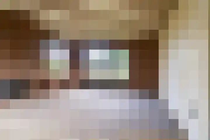 Grensweg 22 Vriezenveen thumbnail 10