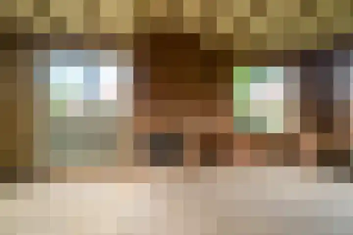Grensweg 22 Vriezenveen thumbnail 11