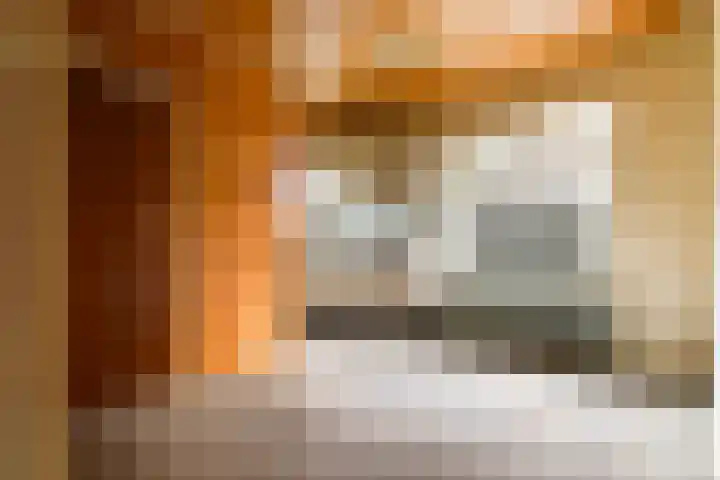 Grensweg 22 Vriezenveen thumbnail 12