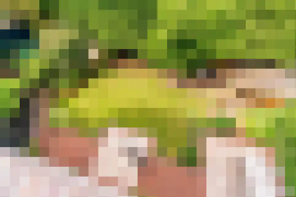 Grensweg 22 Vriezenveen thumbnail 13