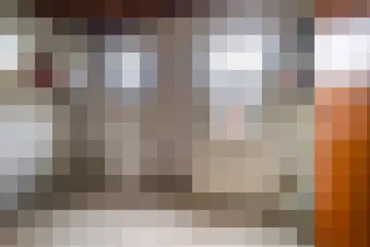 Grensweg 22 Vriezenveen thumbnail 14