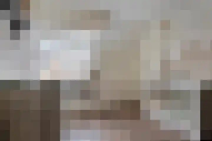 Grensweg 22 Vriezenveen thumbnail 16