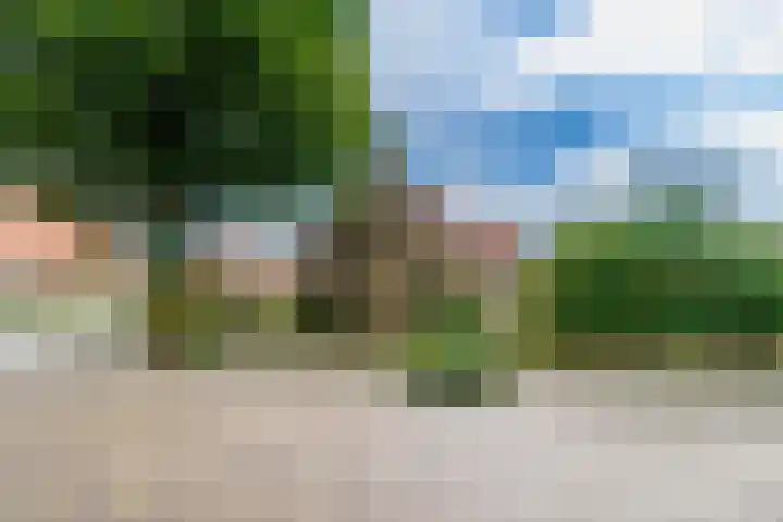Grensweg 22 Vriezenveen thumbnail 16