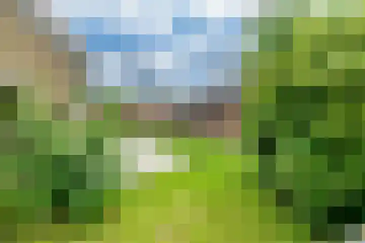 Grensweg 22 Vriezenveen thumbnail 17