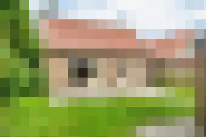 Grensweg 22 Vriezenveen thumbnail 19