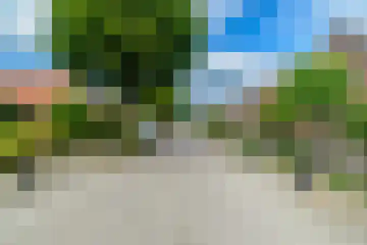 Grensweg 22 Vriezenveen thumbnail 21