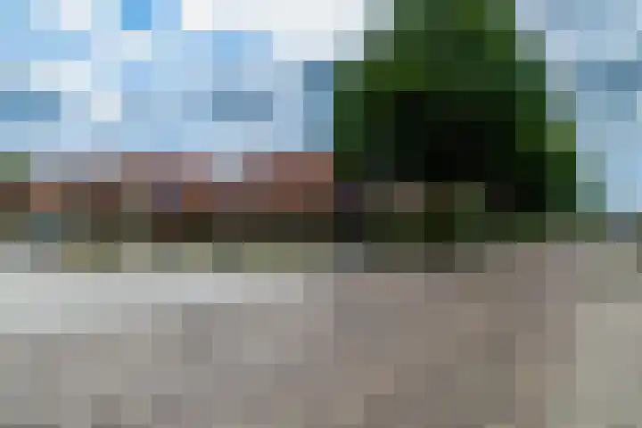 Grensweg 22 Vriezenveen thumbnail 23