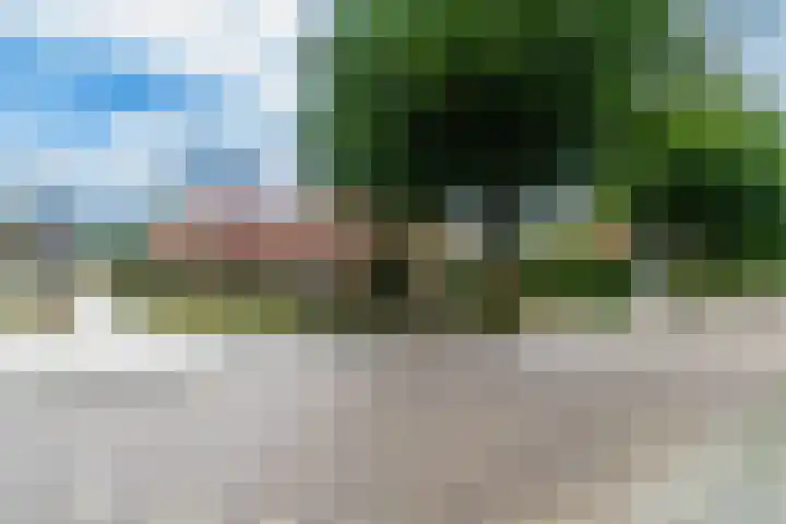 Grensweg 22 Vriezenveen thumbnail 24