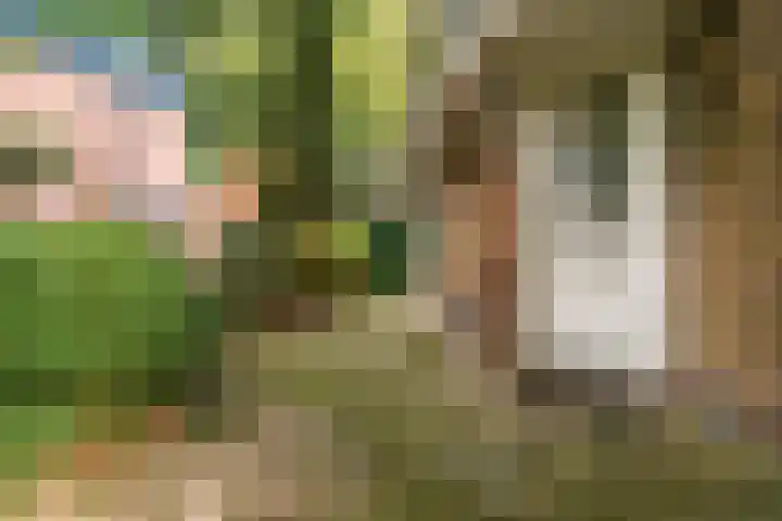 Grensweg 22 Vriezenveen thumbnail 28