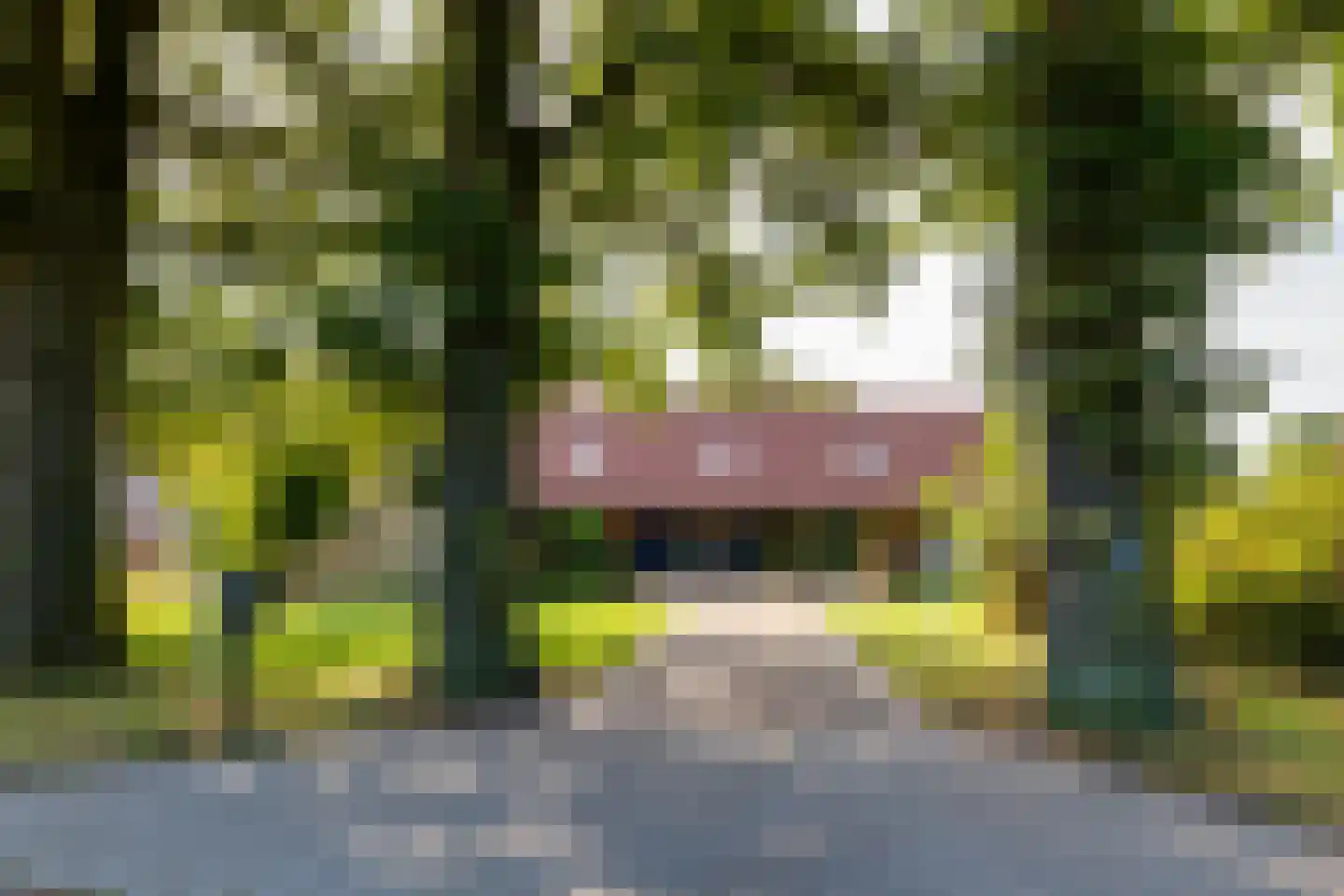 Grensweg 3 Lievelde thumbnail 10