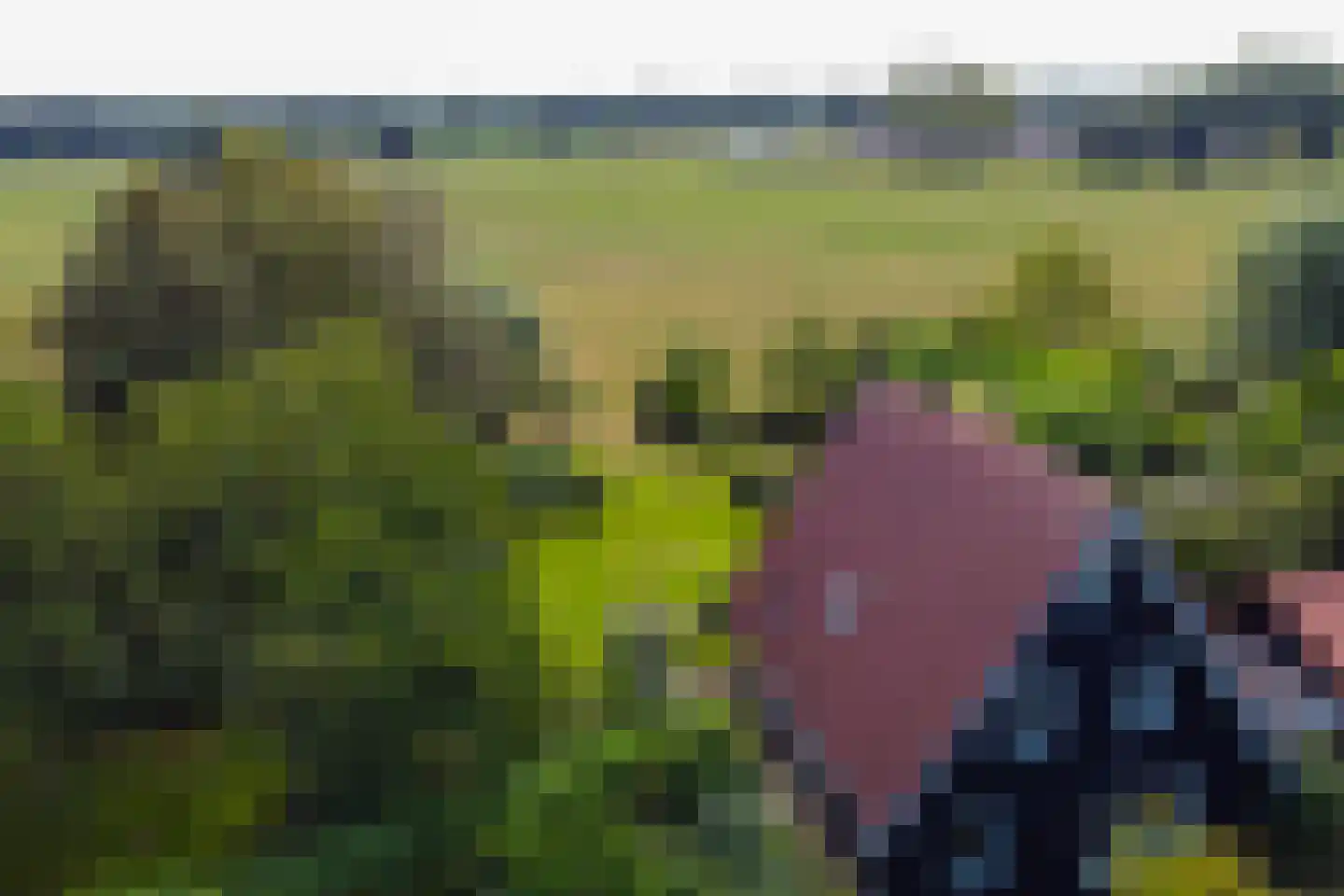 Grensweg 3 Lievelde thumbnail 11