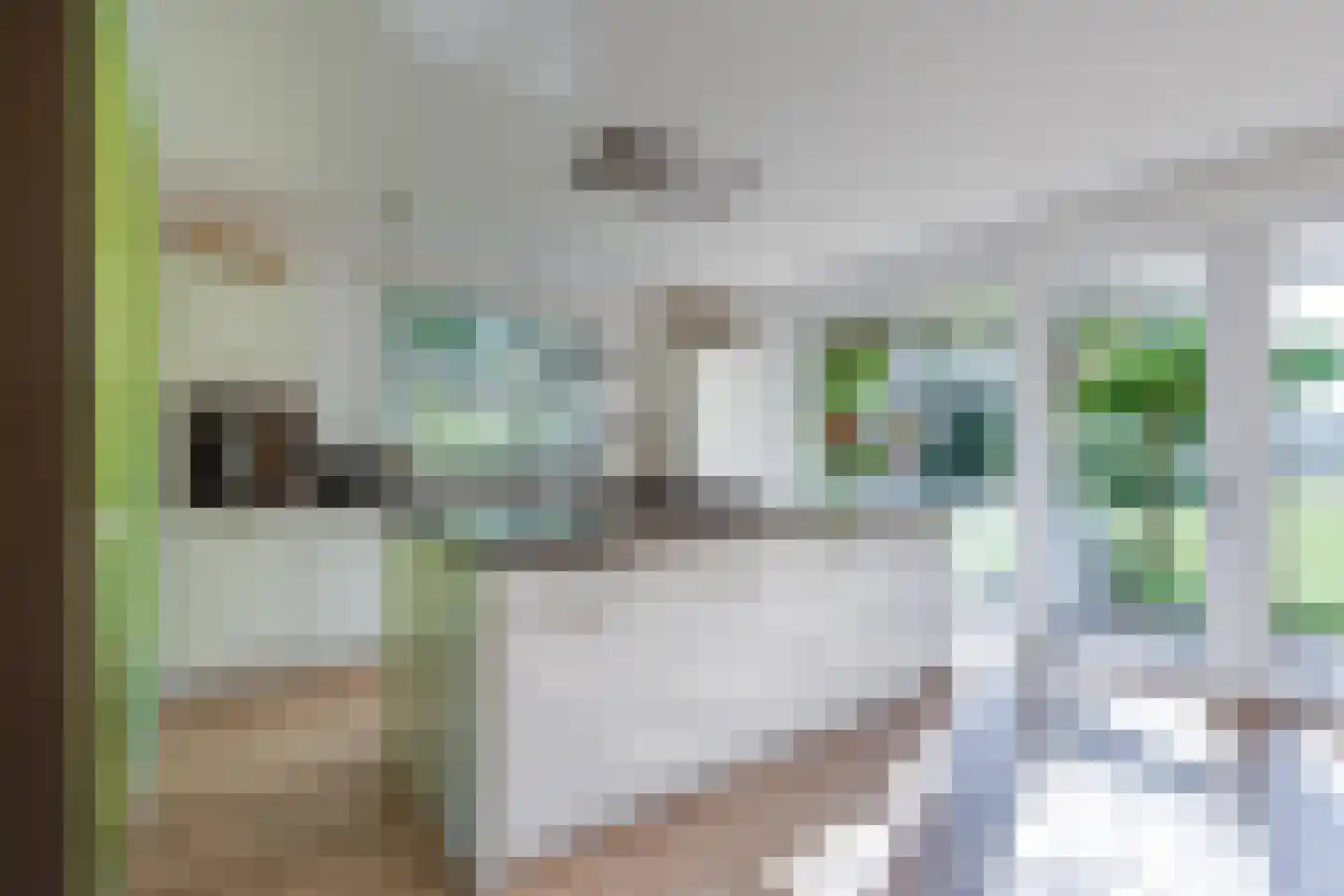 Grensweg 3 Lievelde thumbnail 16