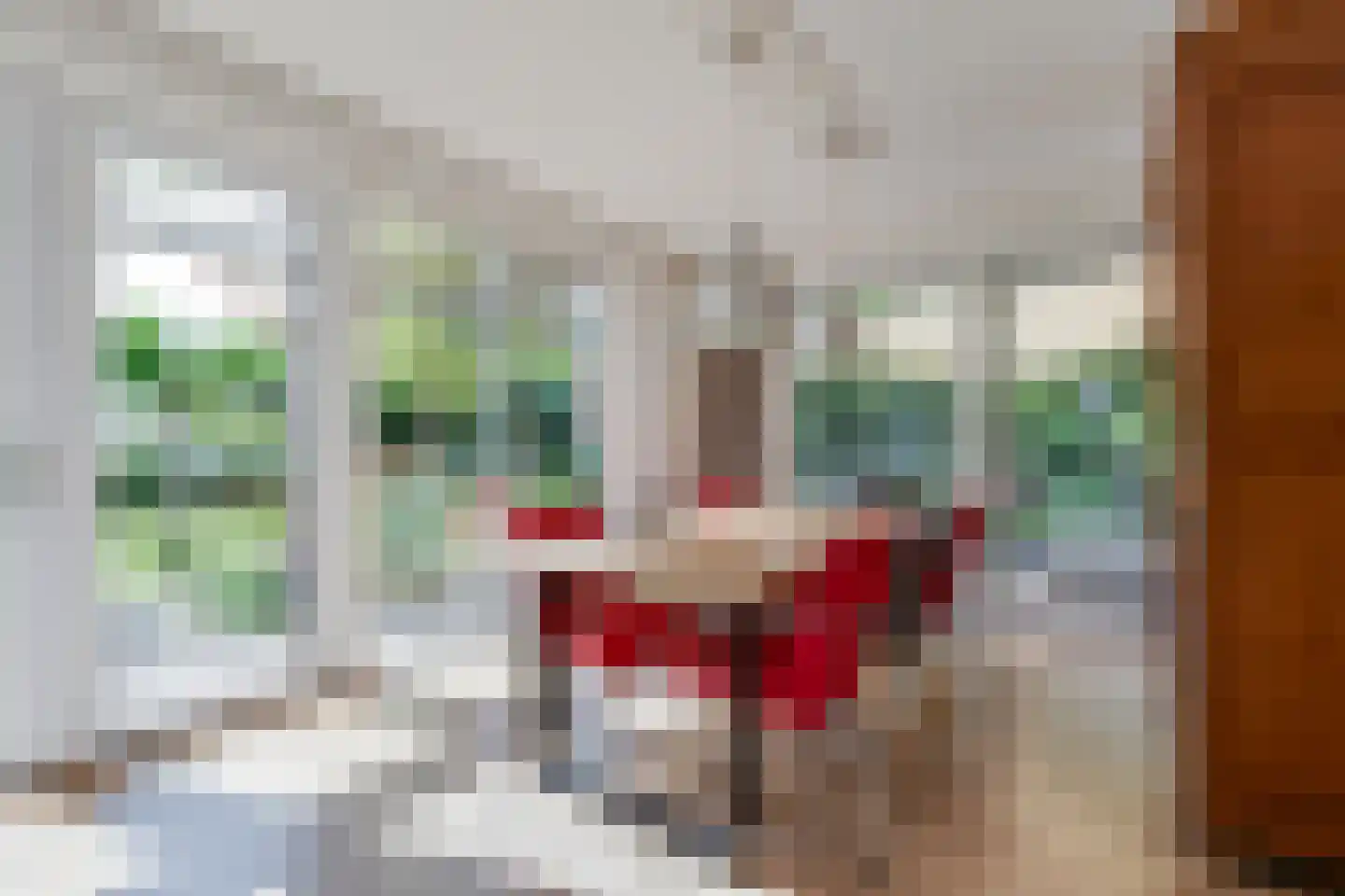 Grensweg 3 Lievelde thumbnail 18