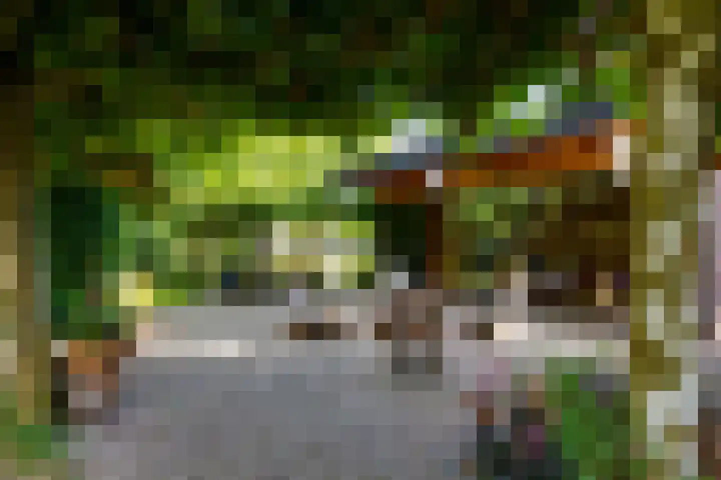 Grensweg 3 Lievelde thumbnail 21