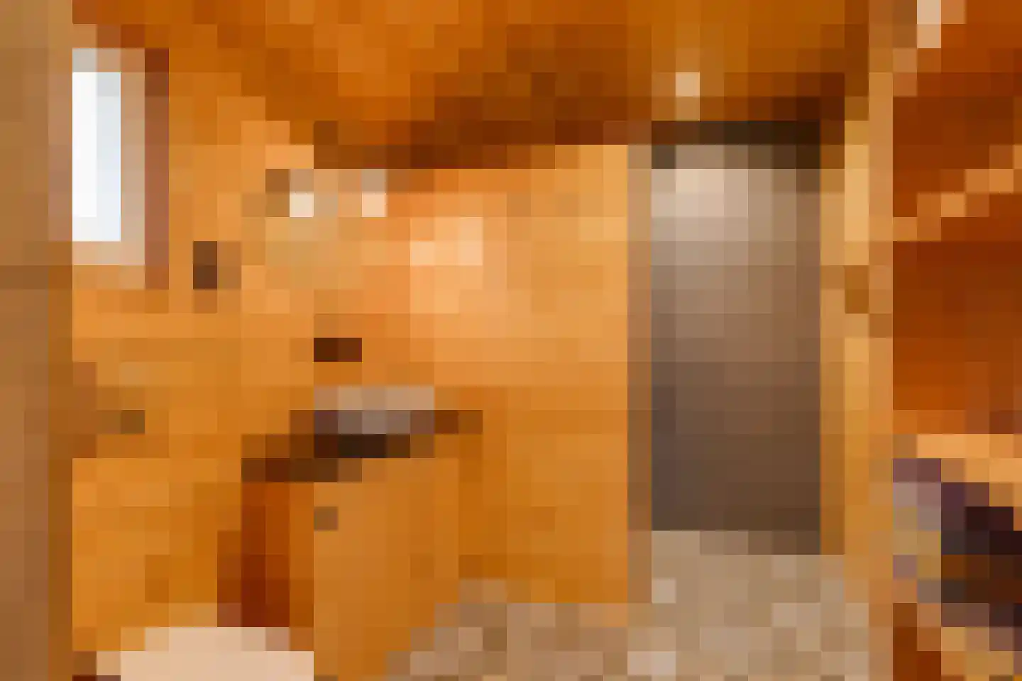 Grensweg 3 Lievelde thumbnail 24