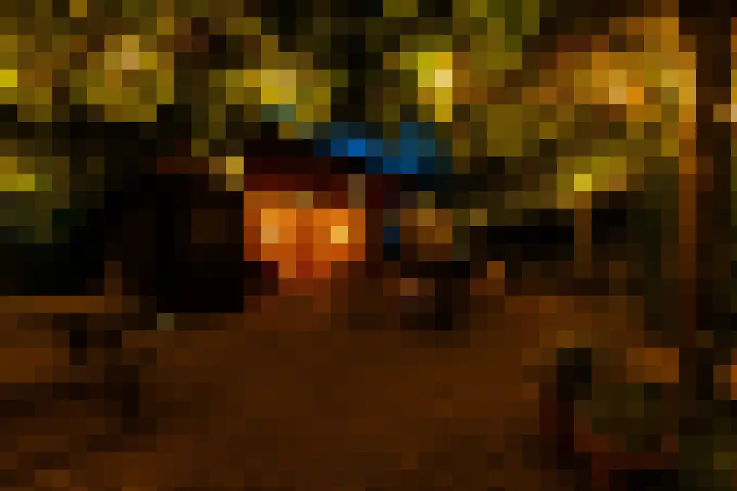Grensweg 3 Lievelde thumbnail 26