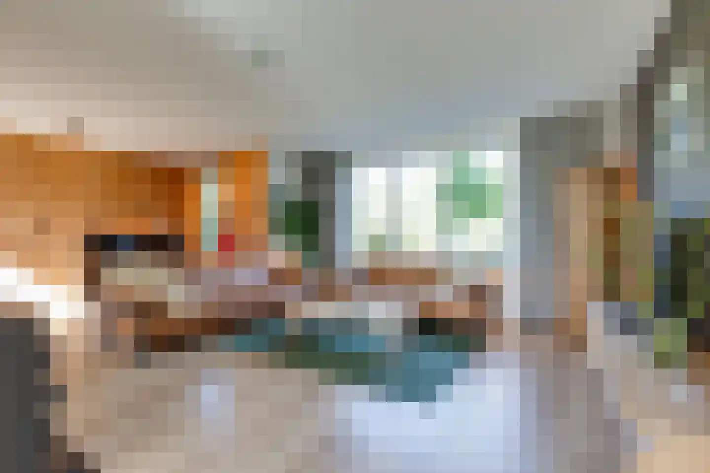 Grensweg 3 Lievelde thumbnail 29