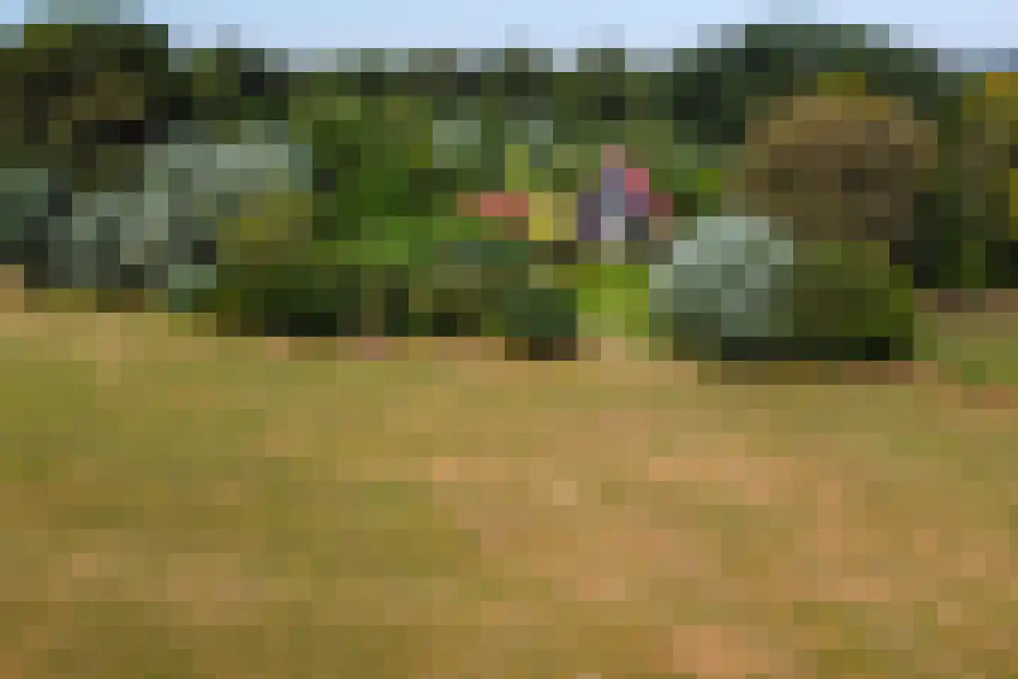 Grensweg 3 Lievelde foto 3