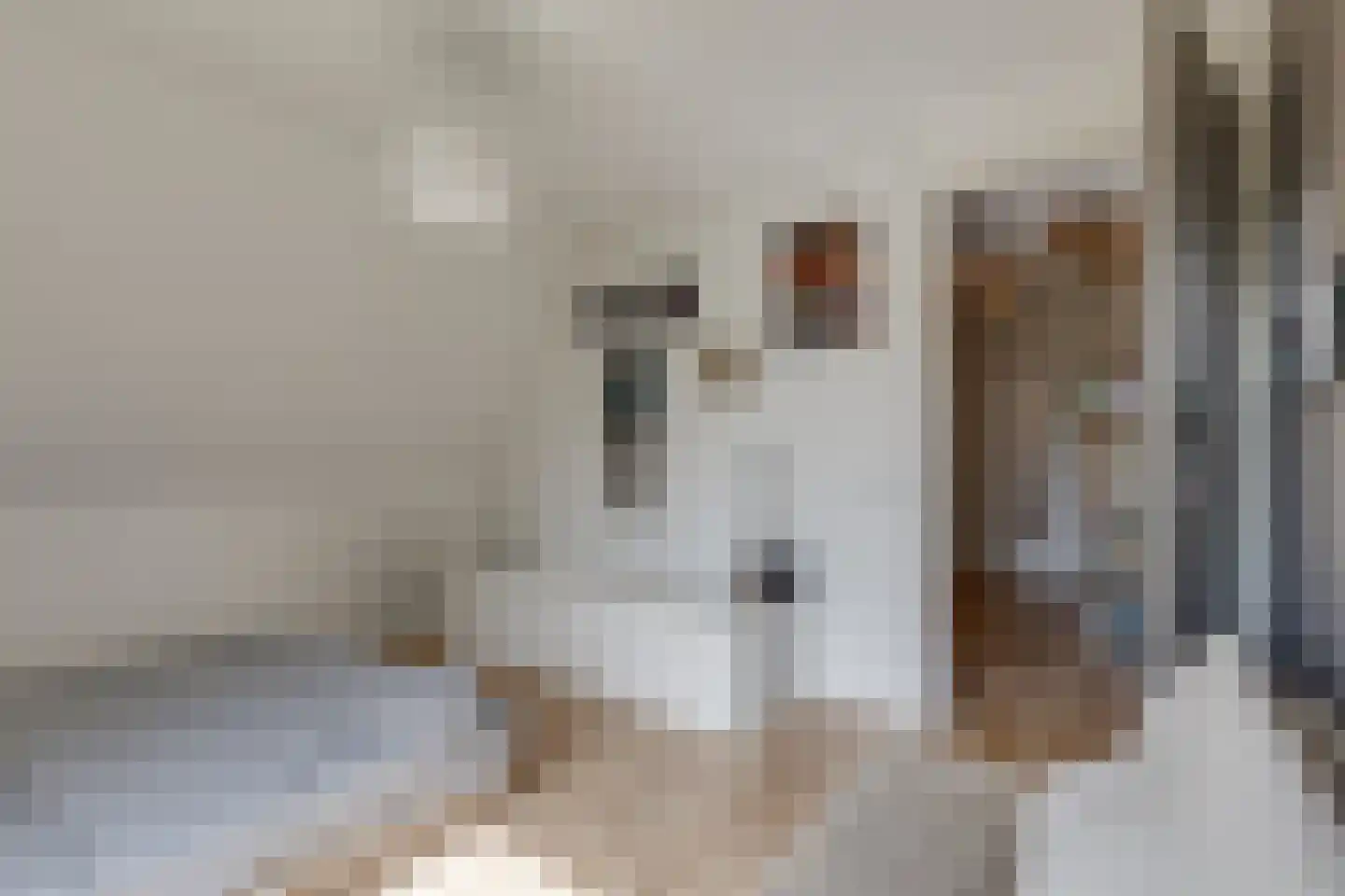 Grensweg 3 Lievelde thumbnail 33