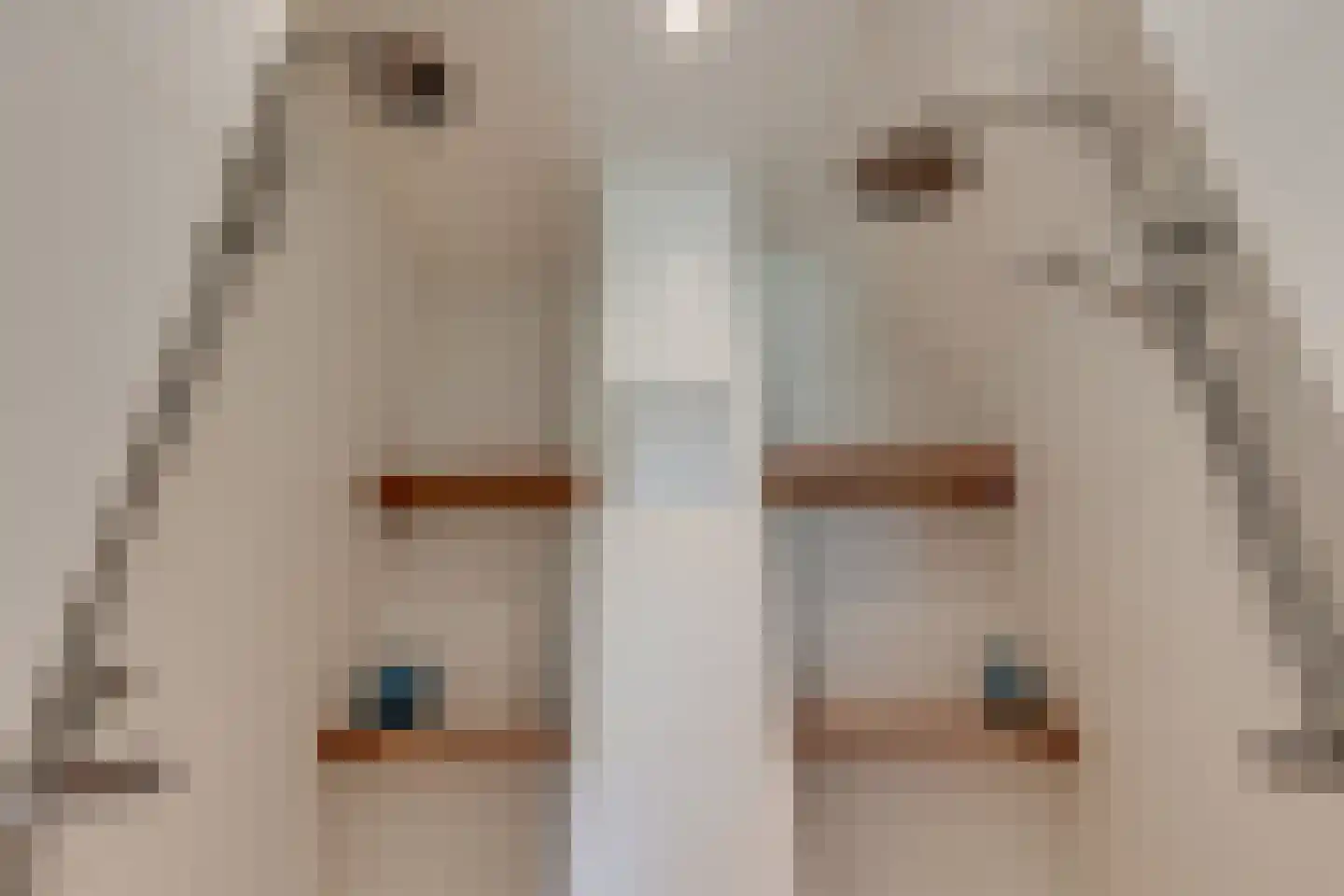 Grensweg 3 Lievelde thumbnail 35