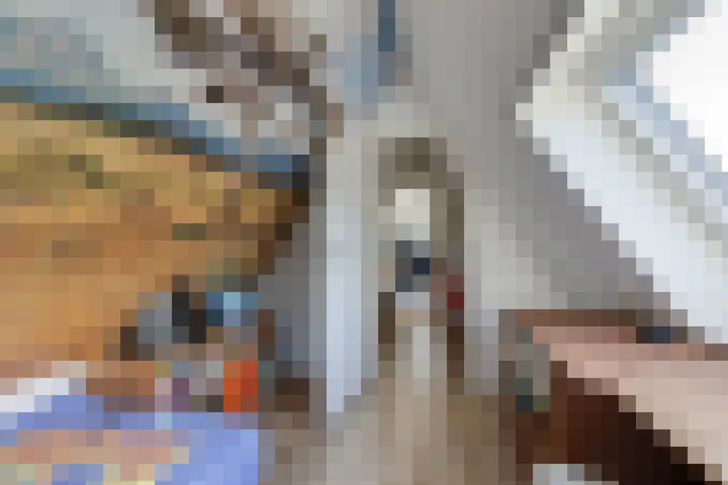 Grensweg 3 Lievelde thumbnail 42