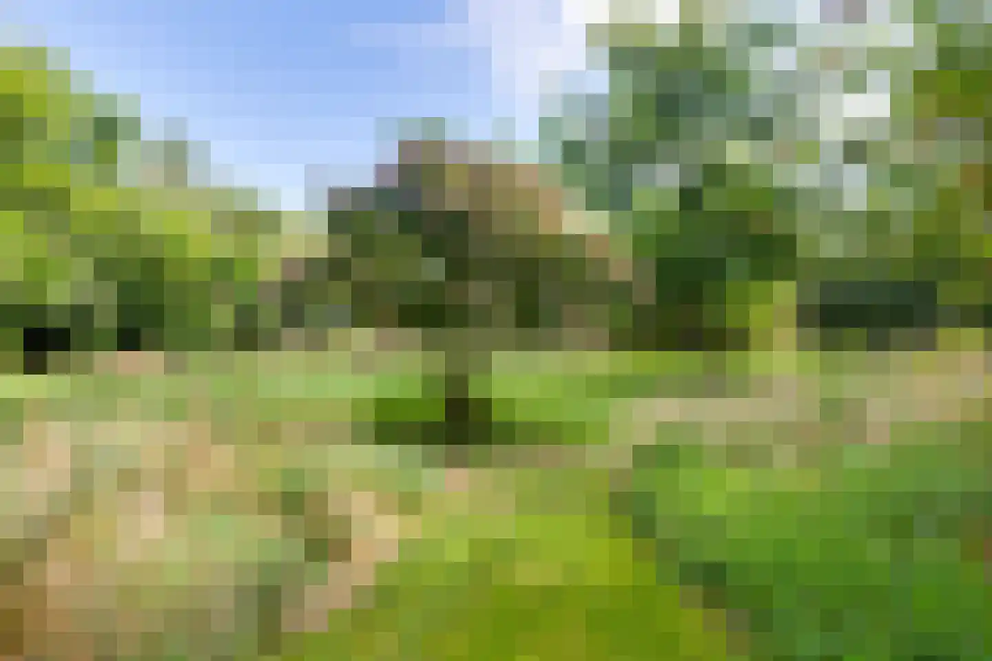 Grensweg 3 Lievelde thumbnail 45