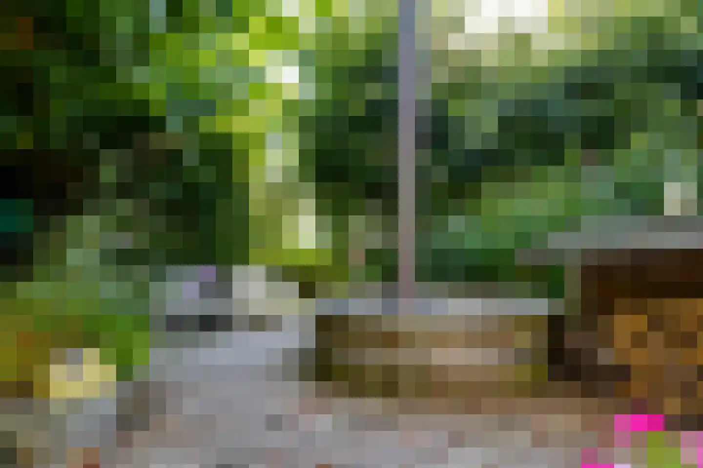 Grensweg 3 Lievelde thumbnail 46
