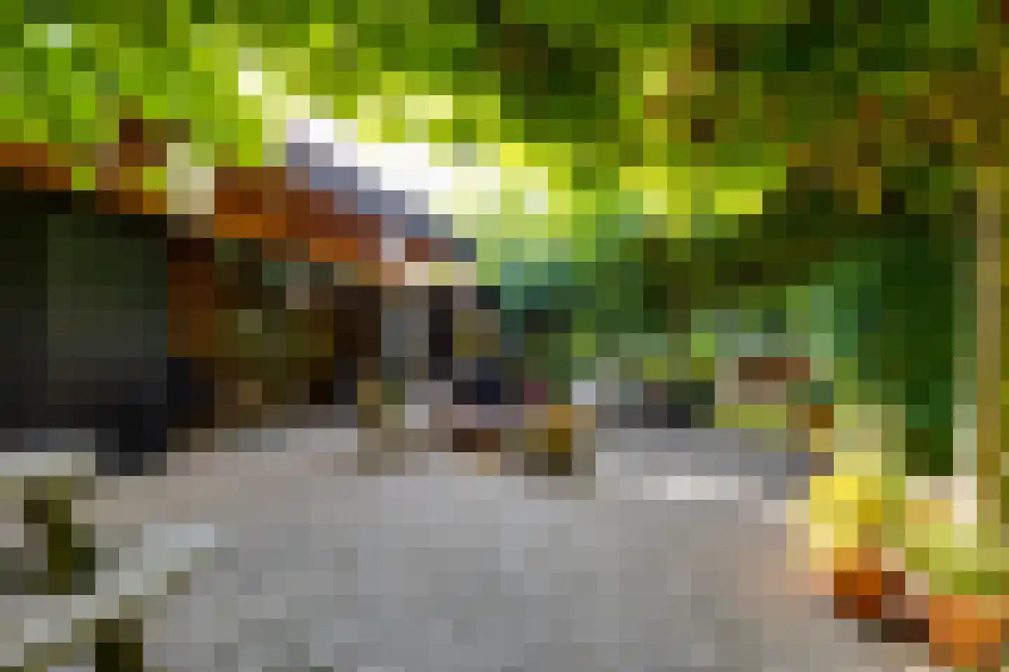 Grensweg 3 Lievelde thumbnail 47