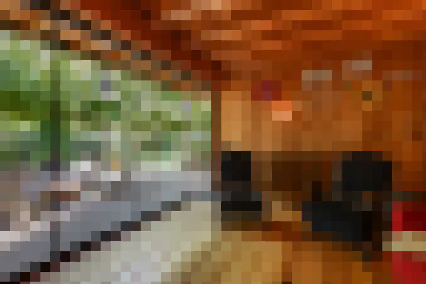 Grensweg 3 Lievelde thumbnail 48