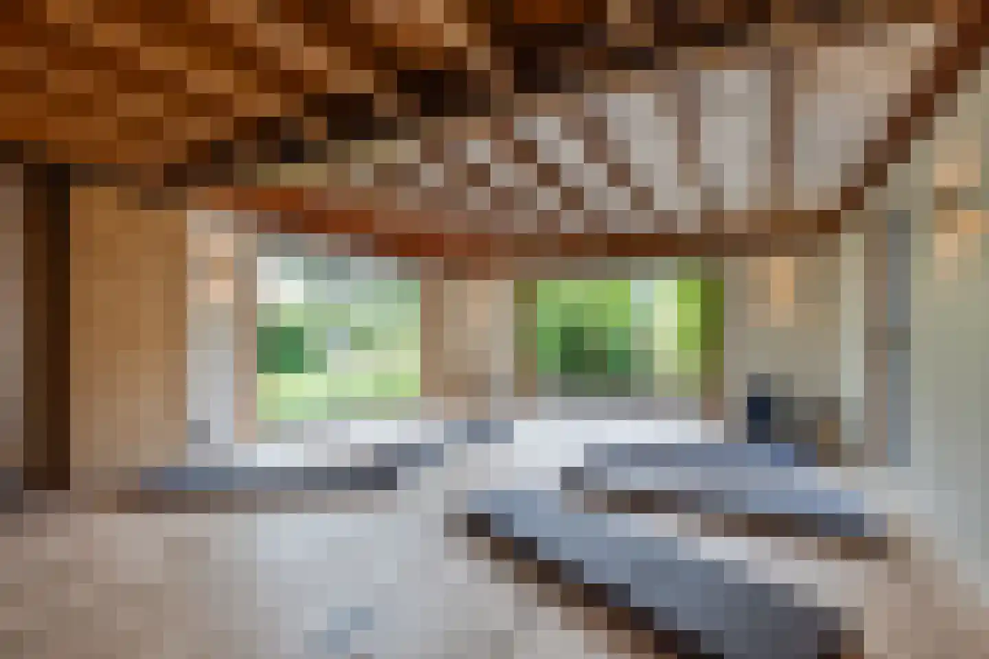 Grensweg 3 Lievelde thumbnail 5