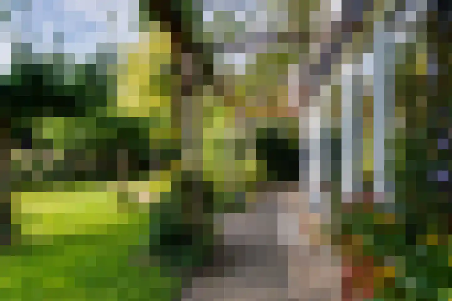 Grensweg 3 Lievelde thumbnail 50